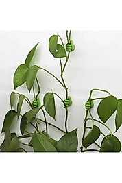 Çok Amaçlı Renkli Tutucu 6 Adet - Kablo Havlu Kalem Asma Aparatı Parmak Şeklinde Sevimli Düzenleyeci